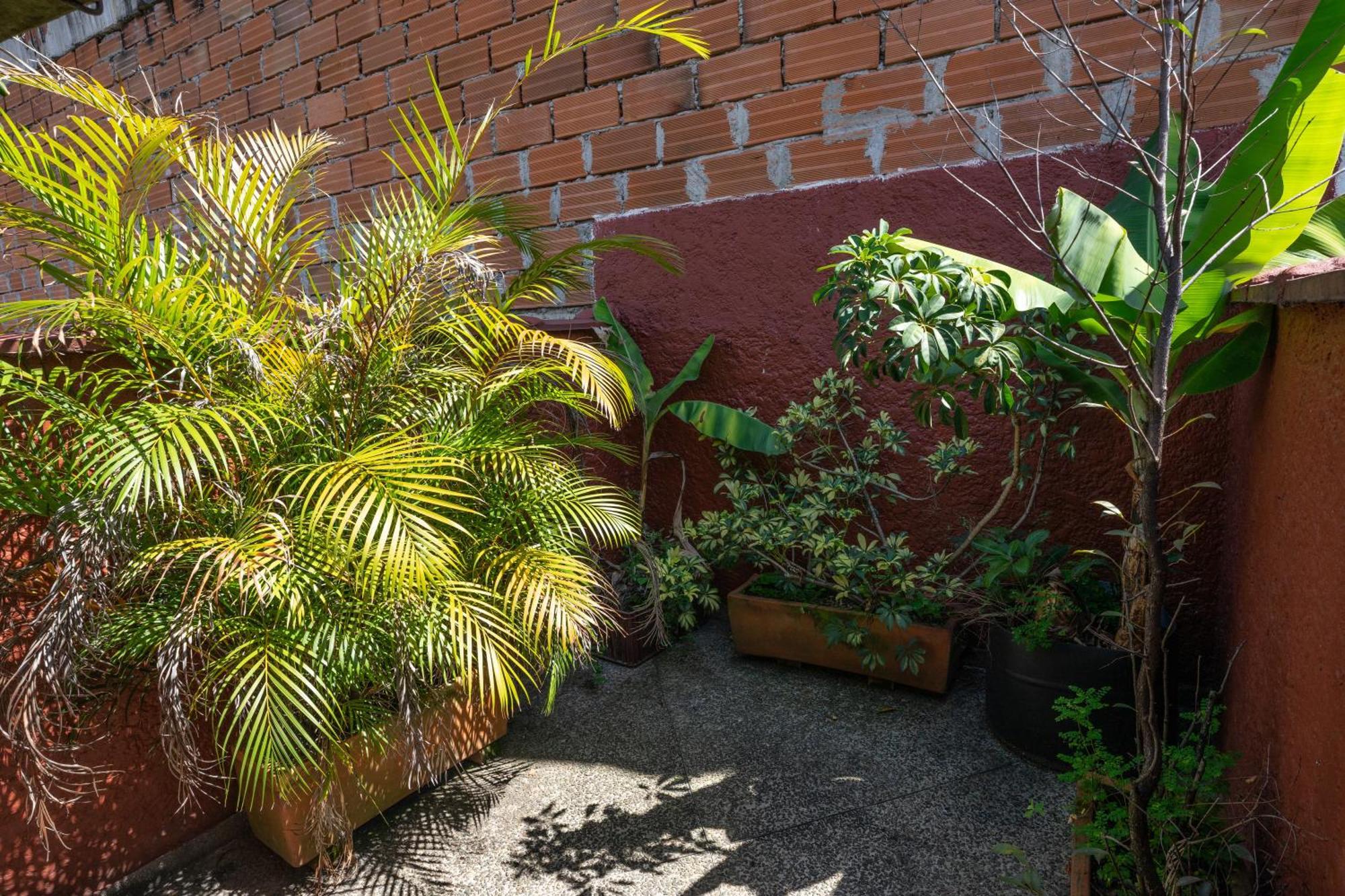 Oasis En El Centro De Apartamento